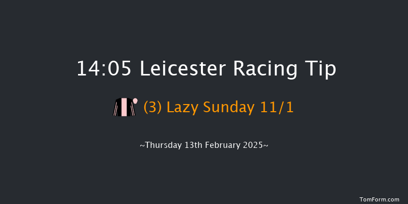 Leicester  14:05 Handicap Chase (Class 5) 23f Tue 21st Jan 2025
