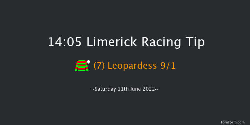 Limerick 14:05 Maiden 7f Fri 27th May 2022