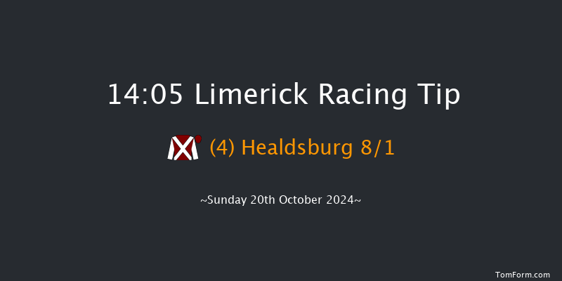 Limerick  14:05 Maiden Hurdle 16f Sat 19th Oct 2024