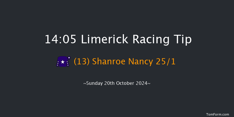 Limerick  14:05 Maiden Hurdle 16f Sat 19th Oct 2024