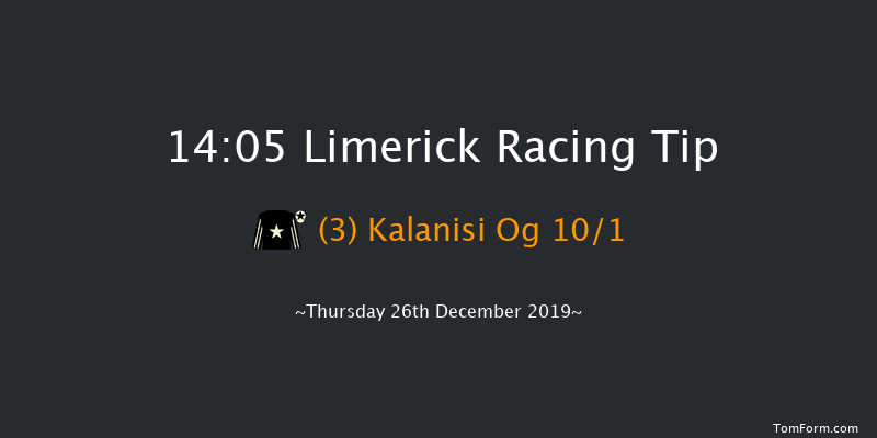 Limerick 14:05 Handicap Hurdle 20f Fri 29th Nov 2019