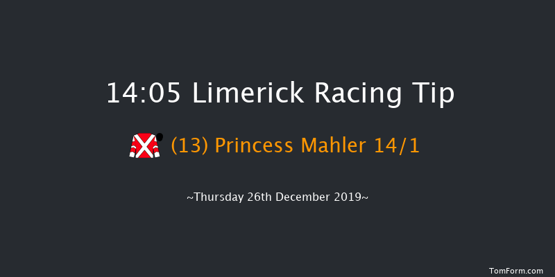 Limerick 14:05 Handicap Hurdle 20f Fri 29th Nov 2019