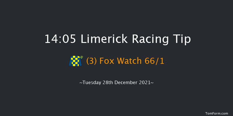 Limerick 14:05 Handicap Hurdle 21f Mon 27th Dec 2021
