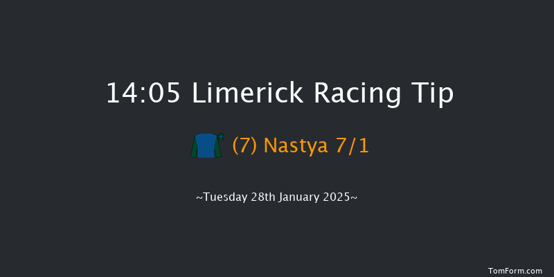 Limerick  14:05 Maiden Hurdle 16f Sun 29th Dec 2024