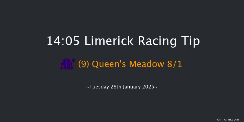 Limerick  14:05 Maiden Hurdle 16f Sun 29th Dec 2024