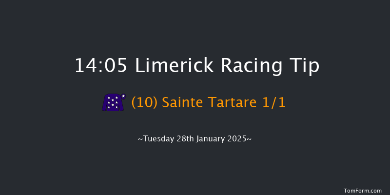 Limerick  14:05 Maiden Hurdle 16f Sun 29th Dec 2024
