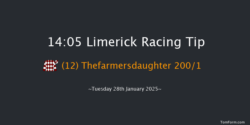 Limerick  14:05 Maiden Hurdle 16f Sun 29th Dec 2024