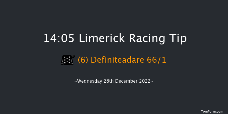 Limerick 14:05 Handicap Hurdle 21f Tue 27th Dec 2022