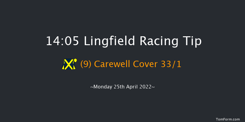 Lingfield 14:05 Handicap (Class 6) 8f Wed 20th Apr 2022