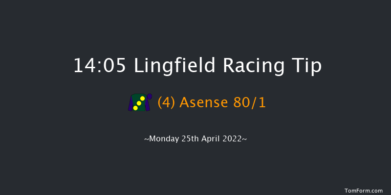 Lingfield 14:05 Handicap (Class 6) 8f Wed 20th Apr 2022