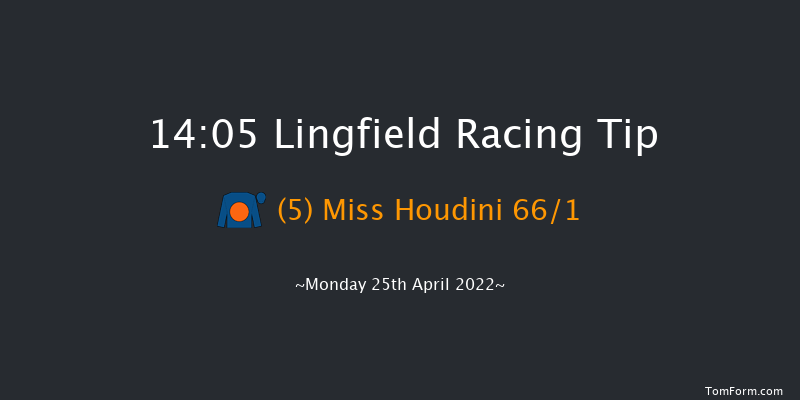 Lingfield 14:05 Handicap (Class 6) 8f Wed 20th Apr 2022