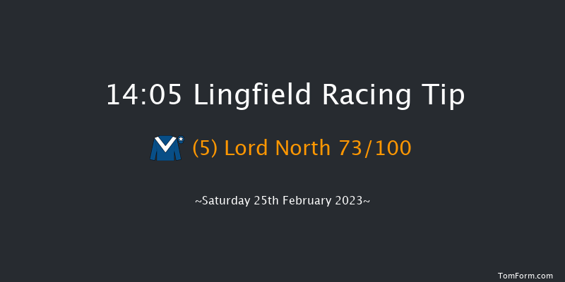 Lingfield 14:05 Group 3 (Class 1) 10f Fri 24th Feb 2023