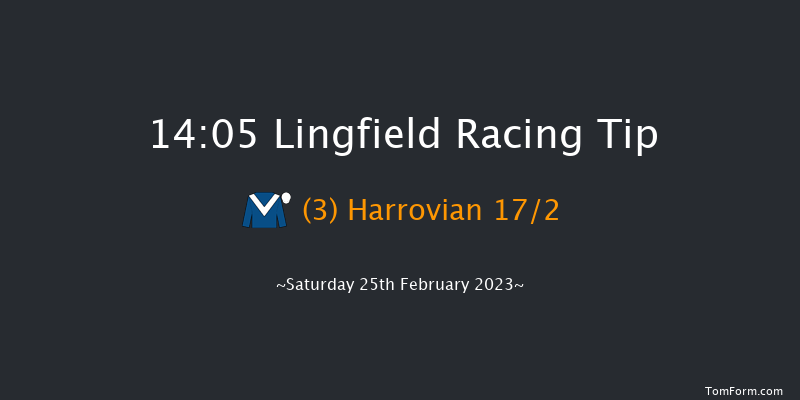Lingfield 14:05 Group 3 (Class 1) 10f Fri 24th Feb 2023