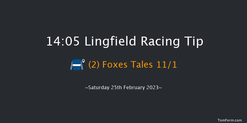 Lingfield 14:05 Group 3 (Class 1) 10f Fri 24th Feb 2023