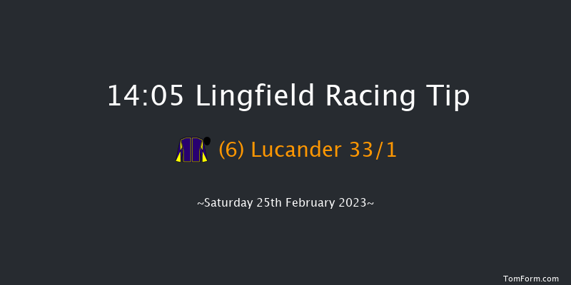 Lingfield 14:05 Group 3 (Class 1) 10f Fri 24th Feb 2023