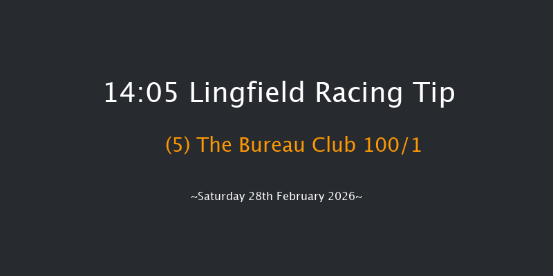 Lingfield 14-05 (Class 4) 8f Fri 27th Feb 2026