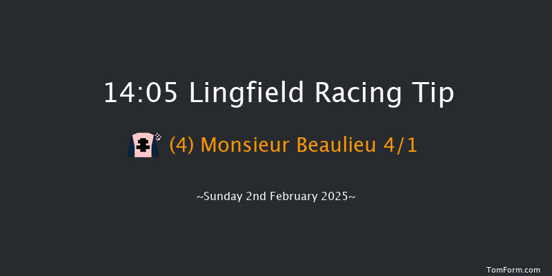 Lingfield  14:05 Handicap (Class 4) 6f Fri 31st Jan 2025