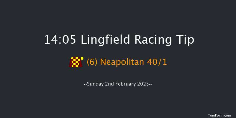 Lingfield  14:05 Handicap (Class 4) 6f Fri 31st Jan 2025