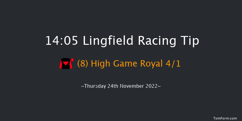 Lingfield 14:05 Novices Hurdle (Class 4) 16f Sat 19th Nov 2022