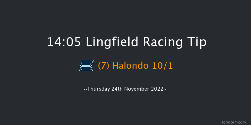 Lingfield 14:05 Novices Hurdle (Class 4) 16f Sat 19th Nov 2022