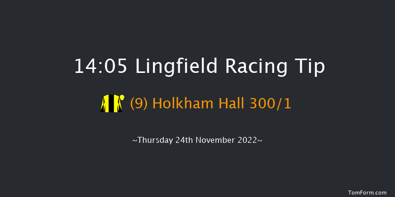 Lingfield 14:05 Novices Hurdle (Class 4) 16f Sat 19th Nov 2022