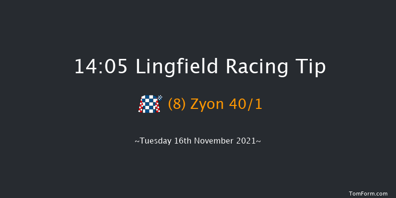 Lingfield 14:05 Handicap Chase (Class 3) 24f Sat 13th Nov 2021