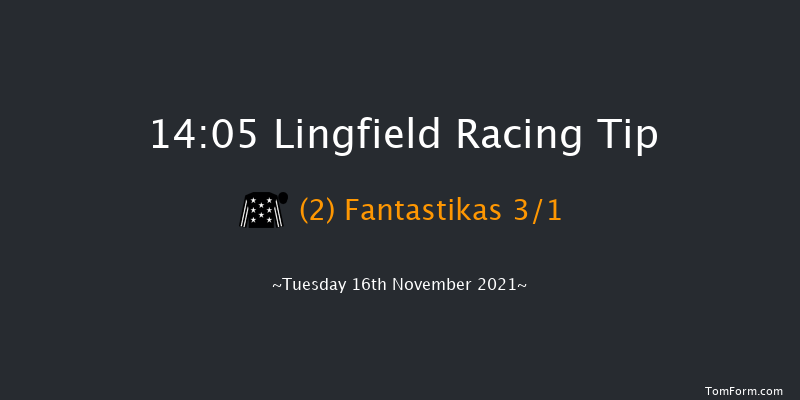 Lingfield 14:05 Handicap Chase (Class 3) 24f Sat 13th Nov 2021