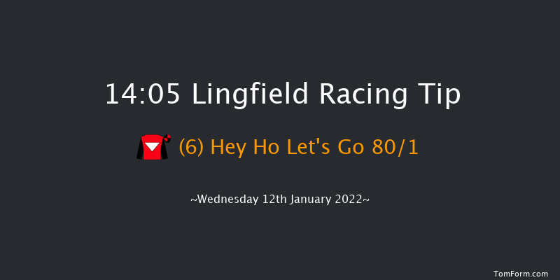 Lingfield 14:05 Handicap (Class 5) 5f Sat 8th Jan 2022