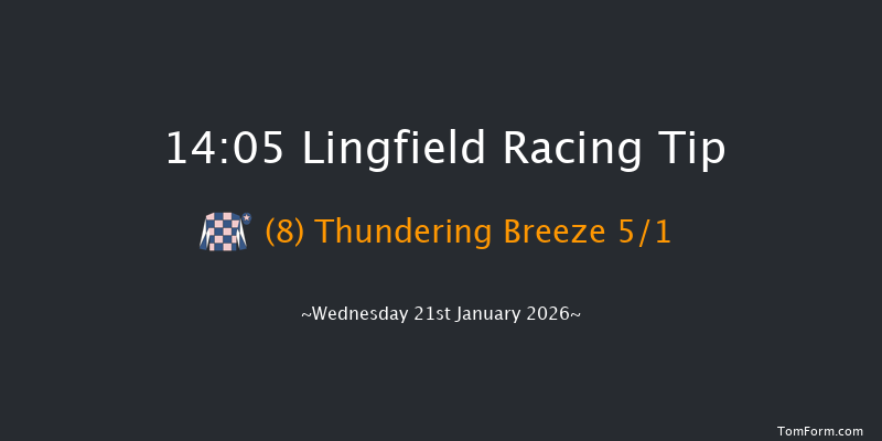 Lingfield 14-05 (Class 6) 10f Mon 19th Jan 2026