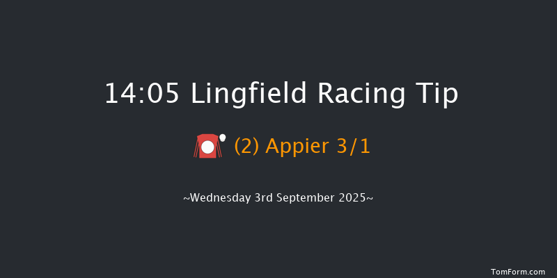 Lingfield 14-05 (Class 5) 13f Sat 30th Aug 2025