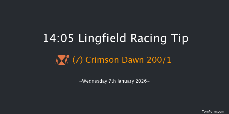 Lingfield 14-05 (Class 3) 8f Sat 3rd Jan 2026