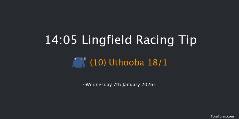 Lingfield 14-05 (Class 3) 8f Sat 3rd Jan 2026