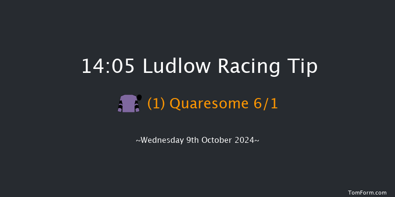 Ludlow  14:05 Handicap Hurdle (Class 4) 16f Sun 12th May 2024