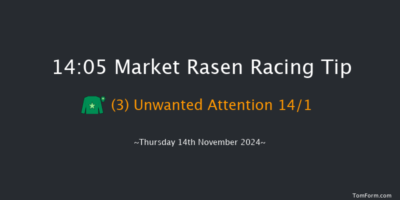 Market Rasen  14:05 Handicap Chase (Class 5) 21f Tue 15th Oct 2024