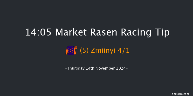 Market Rasen  14:05 Handicap Chase (Class 5) 21f Tue 15th Oct 2024