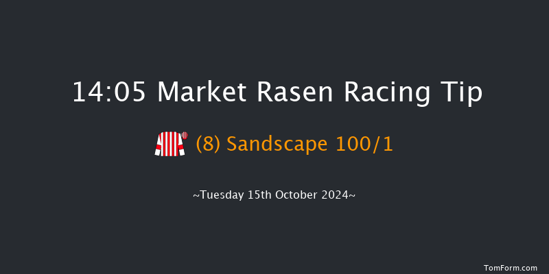 Market Rasen  14:05 Maiden Hurdle (Class 4)
17f Sat 28th Sep 2024