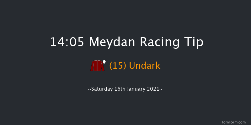 Lincoln Nautilus Maiden Stakes - Dirt Meydan 14:05 1m 1½f 14 ran Lincoln Nautilus Maiden Stakes - Dirt Thu 17th Dec 2020