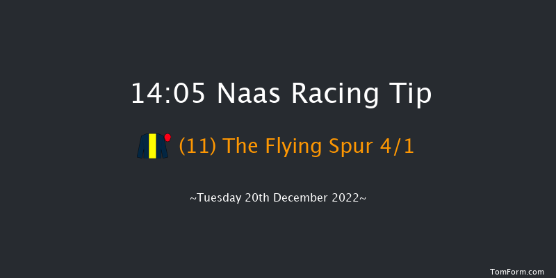 Naas 14:05 Maiden Hurdle 19f Sat 12th Nov 2022