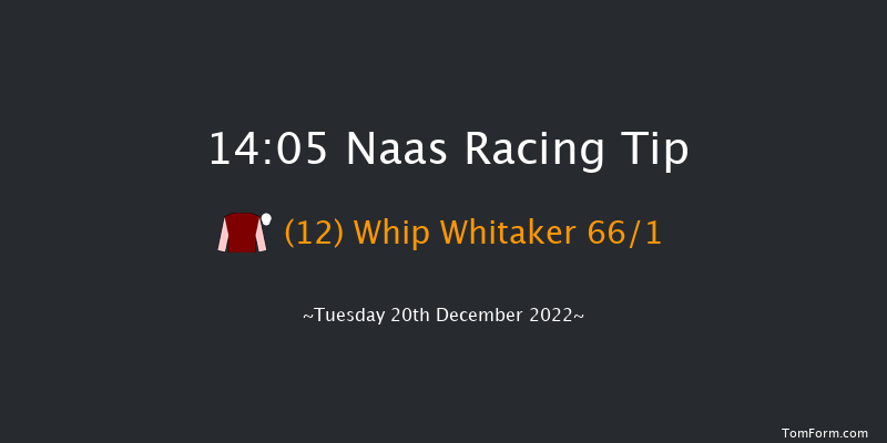 Naas 14:05 Maiden Hurdle 19f Sat 12th Nov 2022