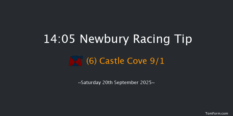 Newbury 14-05 (Class 2) 13f Fri 19th Sep 2025