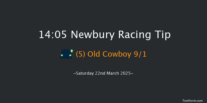 Newbury  14:05 Handicap Hurdle (Class 3) 19f Fri 21st Mar 2025