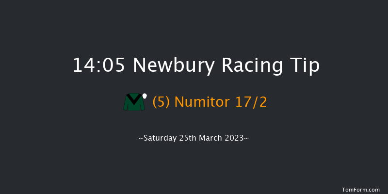 Newbury 14:05 Handicap Chase (Class 2) 20f Fri 24th Mar 2023