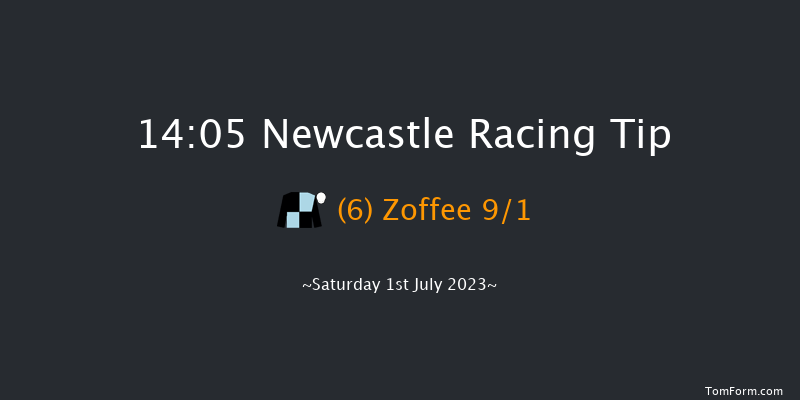 Newcastle 14:05 Handicap (Class 2) 16f Fri 30th Jun 2023