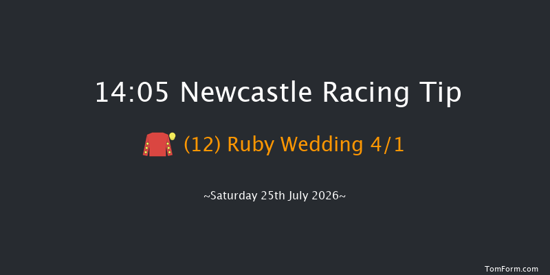 Newcastle 14-05 (Class 4) 12f Sat 27th Jun 2026