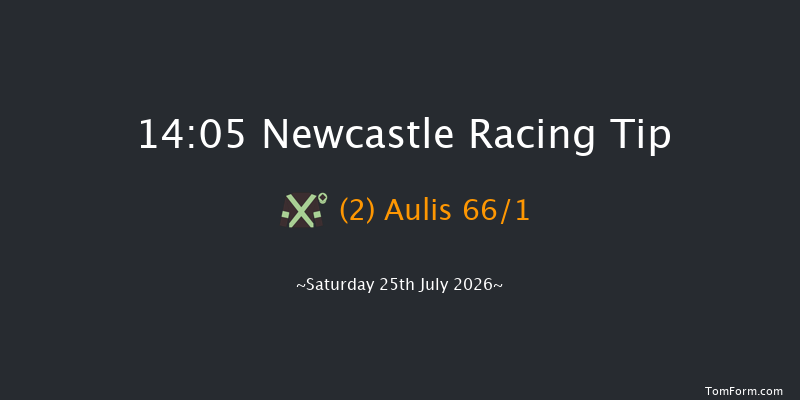 Newcastle 14-05 (Class 4) 12f Sat 27th Jun 2026