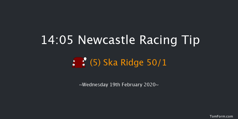 Heed Your Hunch At Betway Handicap Newcastle 14:05 Handicap (Class 5) 12f Sat 15th Feb 2020