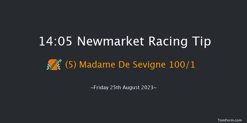 Newmarket 14:05 Stakes (Class 4) 7f Sat 19th Aug 2023