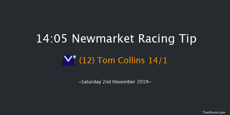 Newmarket 14:05 Group 3 (Class 1) 7f Fri 1st Nov 2019