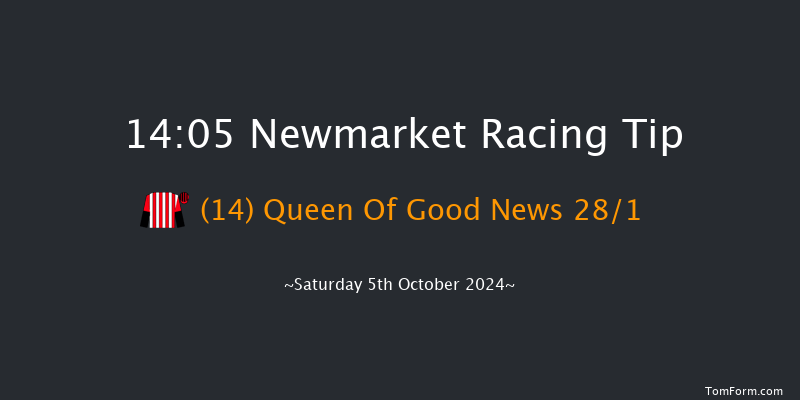 Newmarket  14:05 Stakes (Class 2) 6f  Sat 28th Sep 2024
