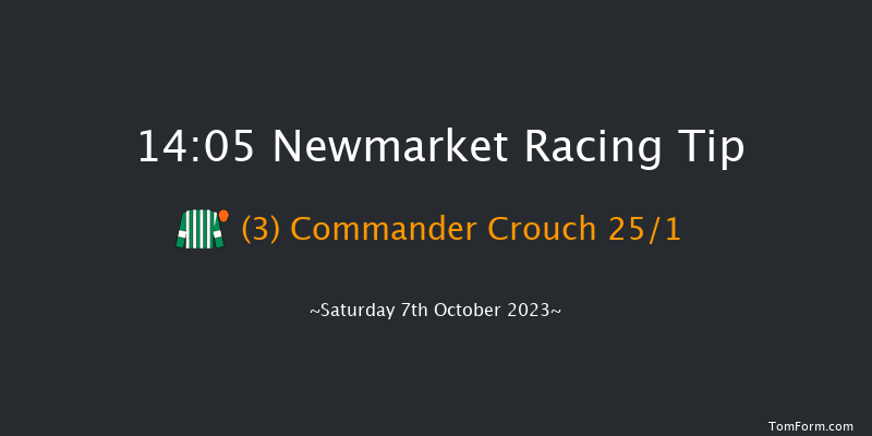 Newmarket 14:05 Stakes (Class 2) 6f Sat 30th Sep 2023